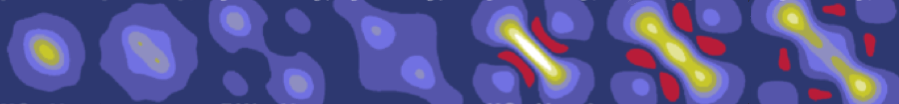 Exp